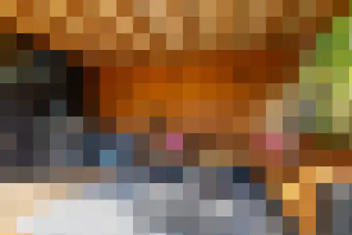 Johan de Kreijstraat 36 Giessenburg thumbnail 43