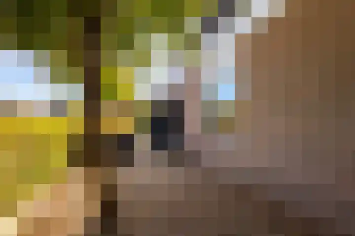 Johan de Kreijstraat 36 Giessenburg thumbnail 46