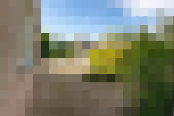Johan de Kreijstraat 36 Giessenburg thumbnail 47