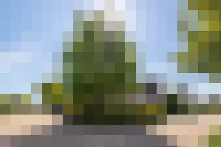 Johan de Kreijstraat 36 Giessenburg thumbnail 51
