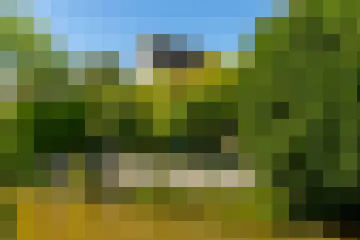 Johan de Kreijstraat 36 Giessenburg thumbnail 52