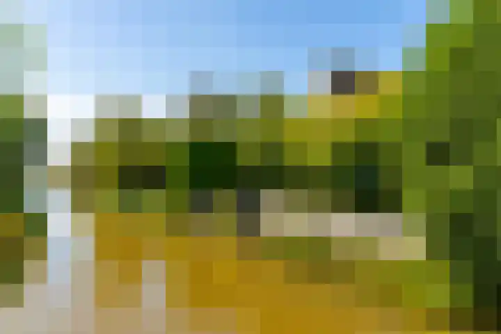 Johan de Kreijstraat 36 Giessenburg thumbnail 53