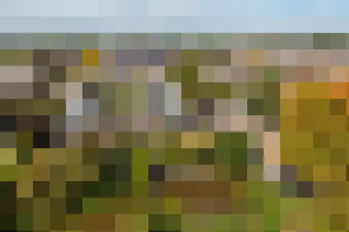 Johan de Kreijstraat 36 Giessenburg thumbnail 54