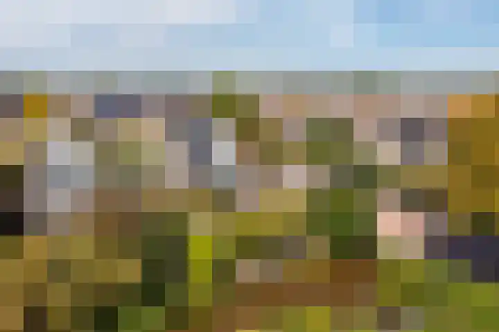 Johan de Kreijstraat 36 Giessenburg thumbnail 55
