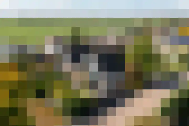 Johan de Kreijstraat 36 Giessenburg thumbnail 56