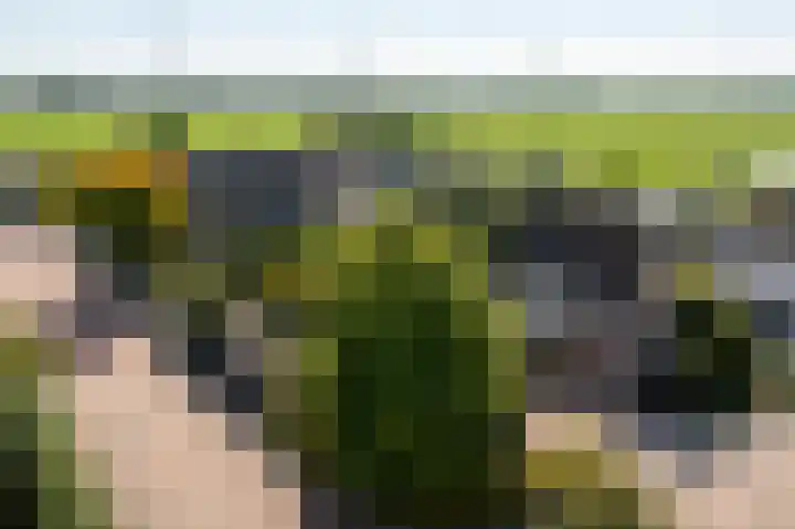 Johan de Kreijstraat 36 Giessenburg thumbnail 57