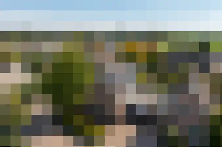 Johan de Kreijstraat 36 Giessenburg thumbnail 58