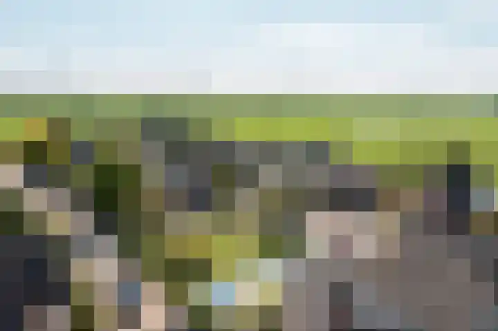 Johan de Kreijstraat 36 Giessenburg thumbnail 59