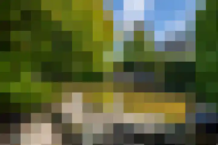 Johan de Kreijstraat 36 Giessenburg thumbnail 6