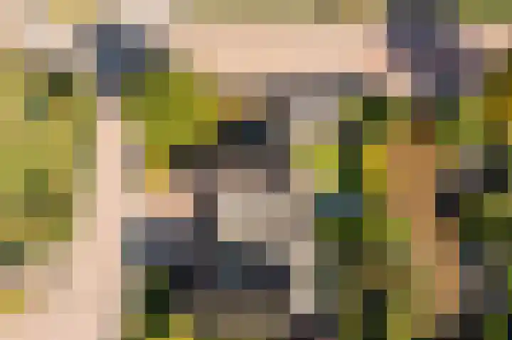 Johan de Kreijstraat 36 Giessenburg thumbnail 62