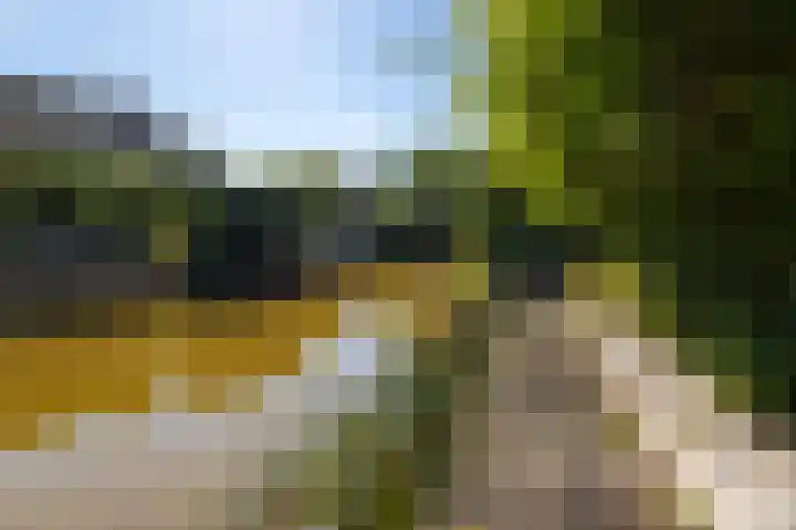 Johan de Kreijstraat 36 Giessenburg thumbnail 7