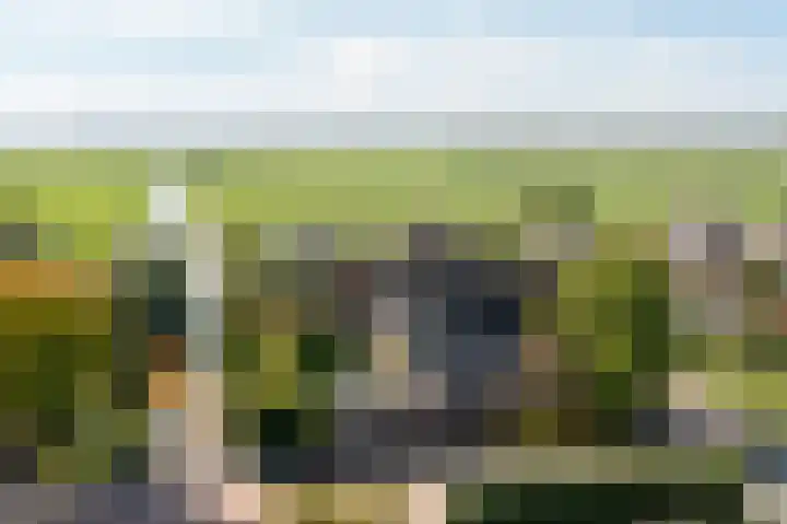 Johan de Kreijstraat 36 Giessenburg thumbnail 8