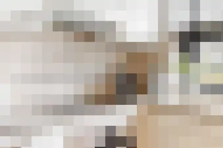 Johan de Meesterhove 10 Nieuwegein thumbnail 11
