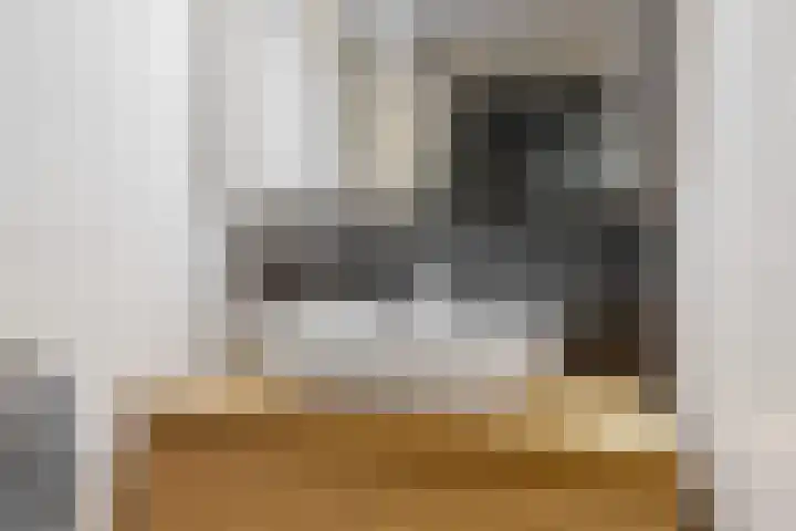 Johan de Meesterhove 10 Nieuwegein thumbnail 18