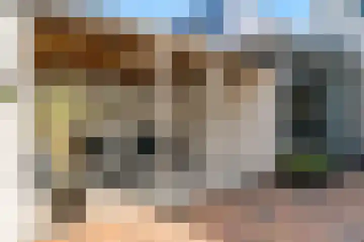Johan de Meesterhove 10 Nieuwegein thumbnail 26