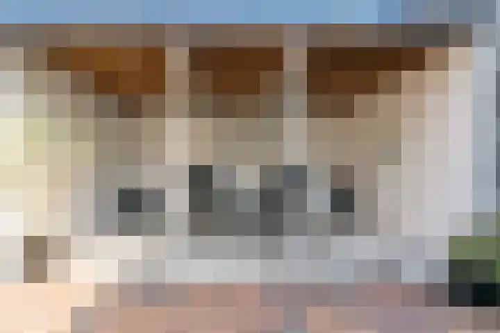 Johan de Meesterhove 10 Nieuwegein thumbnail 27
