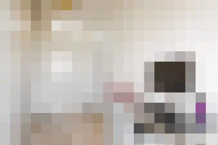Johan de Meesterhove 10 Nieuwegein thumbnail 32