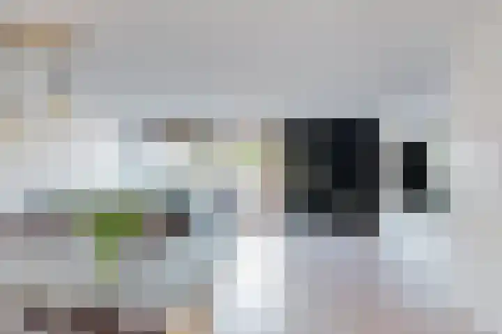 Johan de Meesterhove 10 Nieuwegein thumbnail 4