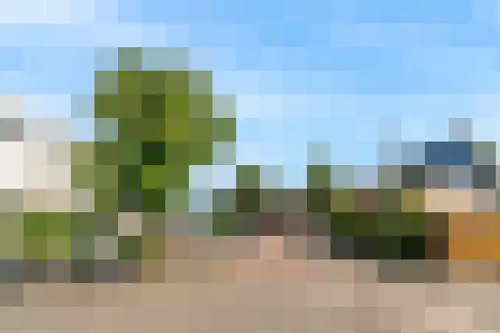 Johan de Meesterhove 10 Nieuwegein thumbnail 42