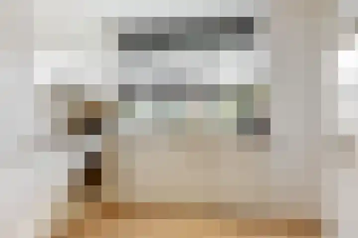 Johan de Meesterhove 10 Nieuwegein thumbnail 8