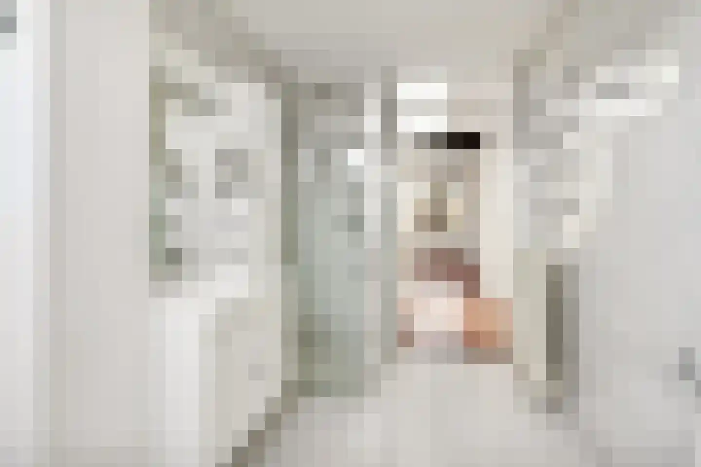 Johan de Meesterhove 4 Nieuwegein thumbnail 33