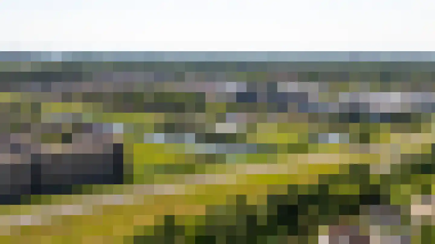 Johan de Meesterhove 4 Nieuwegein thumbnail 59