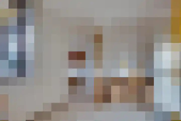 Johan de Meesterhove 9 Nieuwegein thumbnail 13