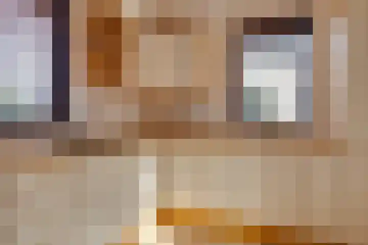 Johan de Meesterhove 9 Nieuwegein thumbnail 15