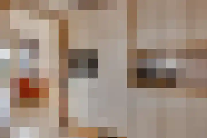 Johan de Meesterhove 9 Nieuwegein thumbnail 16