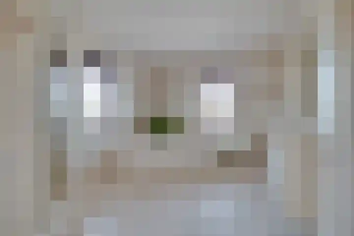 Johan de Meesterhove 9 Nieuwegein thumbnail 20