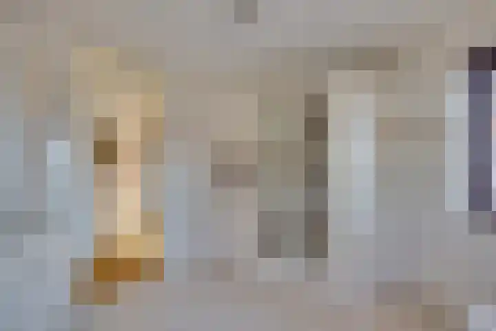 Johan de Meesterhove 9 Nieuwegein thumbnail 21
