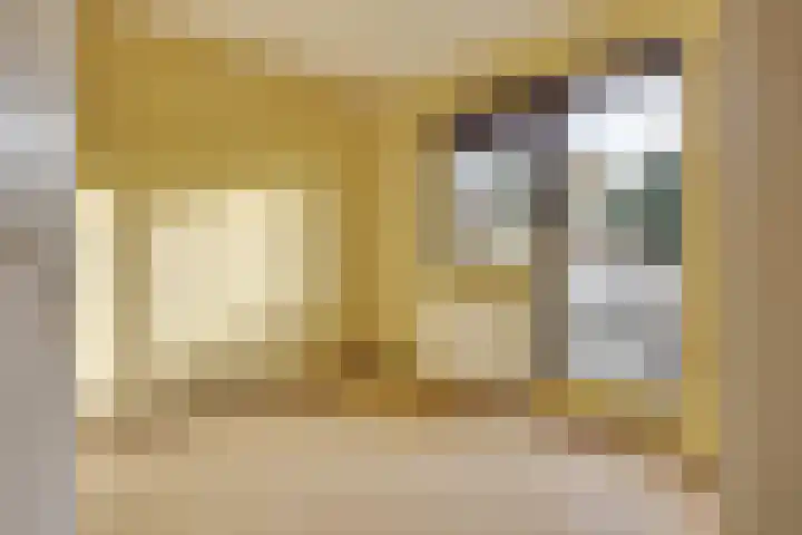 Johan de Meesterhove 9 Nieuwegein thumbnail 22