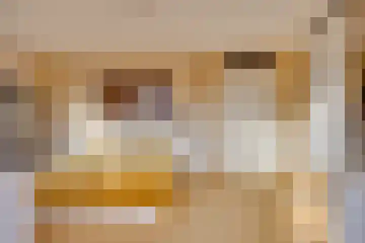 Johan de Meesterhove 9 Nieuwegein thumbnail 26