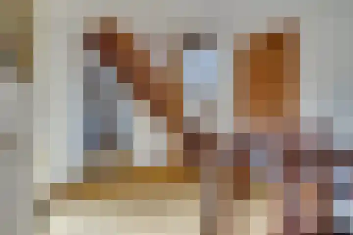 Johan de Meesterhove 9 Nieuwegein thumbnail 27
