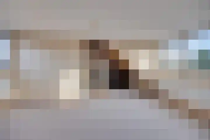 Johan de Meesterhove 9 Nieuwegein thumbnail 28