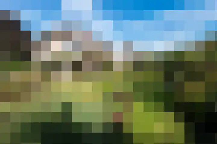 Johan de Meesterhove 9 Nieuwegein thumbnail 32