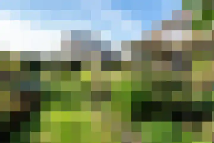 Johan de Meesterhove 9 Nieuwegein thumbnail 33