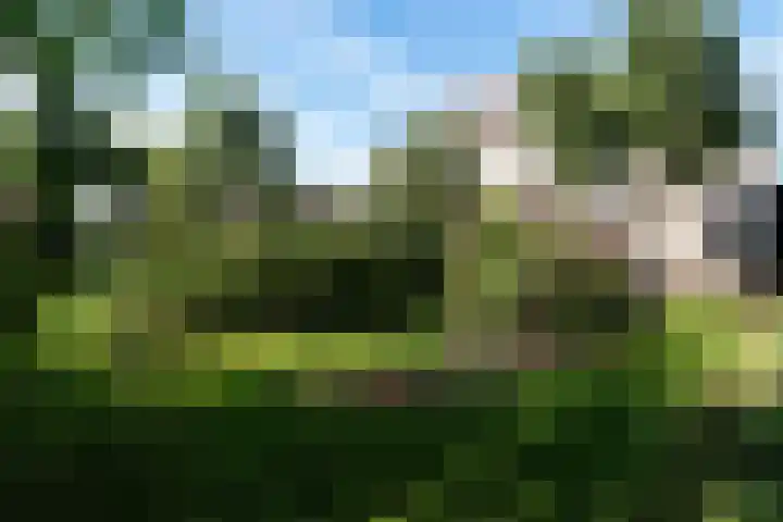 Johan de Meesterhove 9 Nieuwegein thumbnail 34