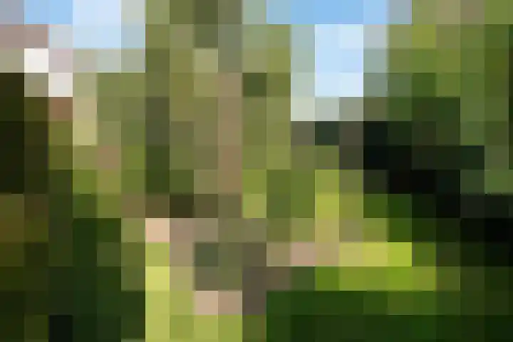 Johan de Meesterhove 9 Nieuwegein thumbnail 35
