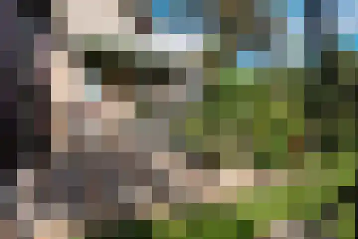 Johan de Meesterhove 9 Nieuwegein thumbnail 38
