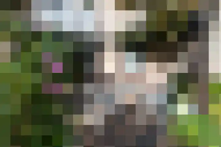 Johan de Meesterhove 9 Nieuwegein thumbnail 39