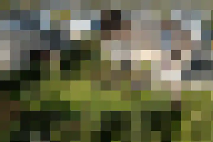 Johan de Meesterhove 9 Nieuwegein thumbnail 4