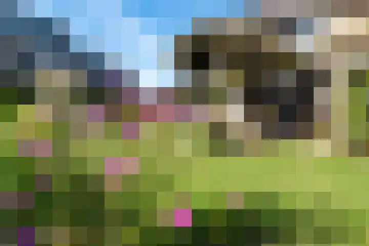 Johan de Meesterhove 9 Nieuwegein thumbnail 40
