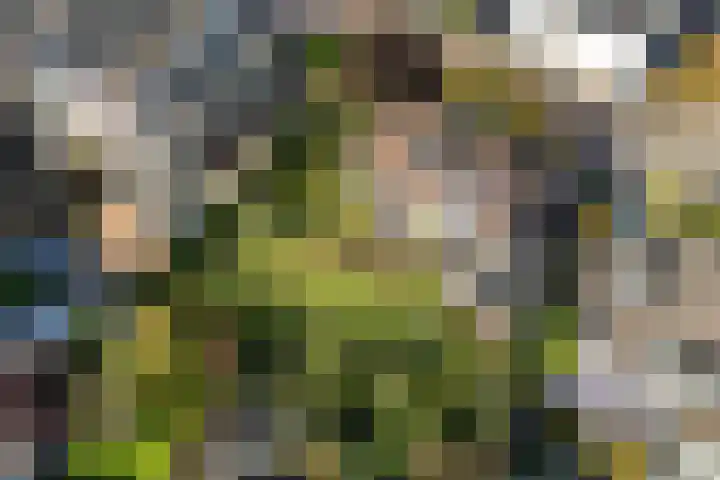 Johan de Meesterhove 9 Nieuwegein thumbnail 43