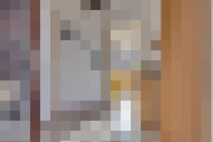 Johan de Meesterhove 9 Nieuwegein thumbnail 5