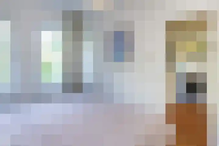 Johan de Meesterstraat 11 Haarlem thumbnail 17