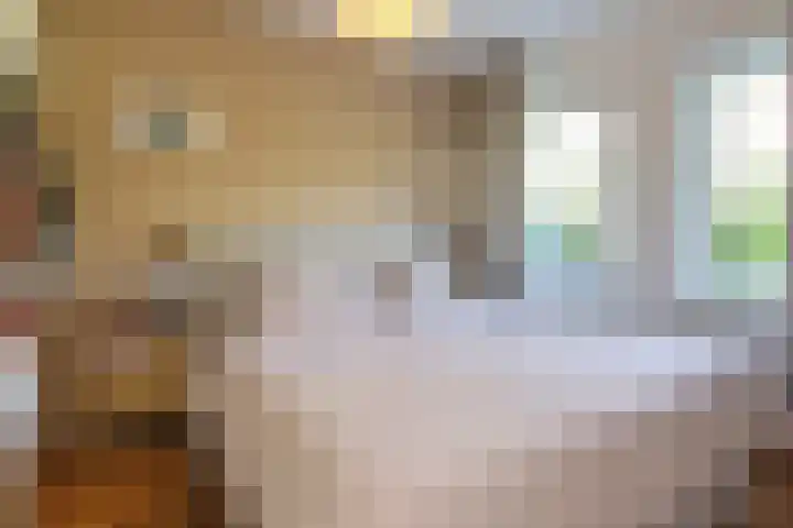 Johan de Meesterstraat 11 Haarlem thumbnail 5