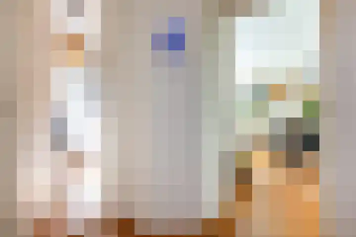 Johan de Meesterstraat 11 Haarlem thumbnail 8