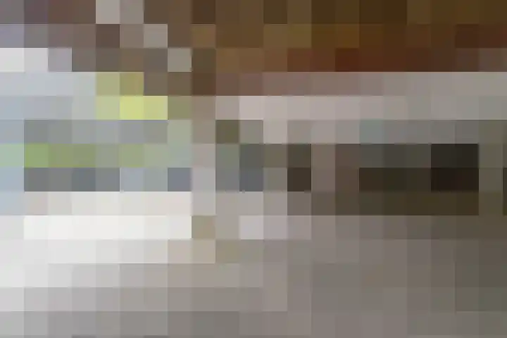Johan de Meesterstraat 119 Utrecht thumbnail 27