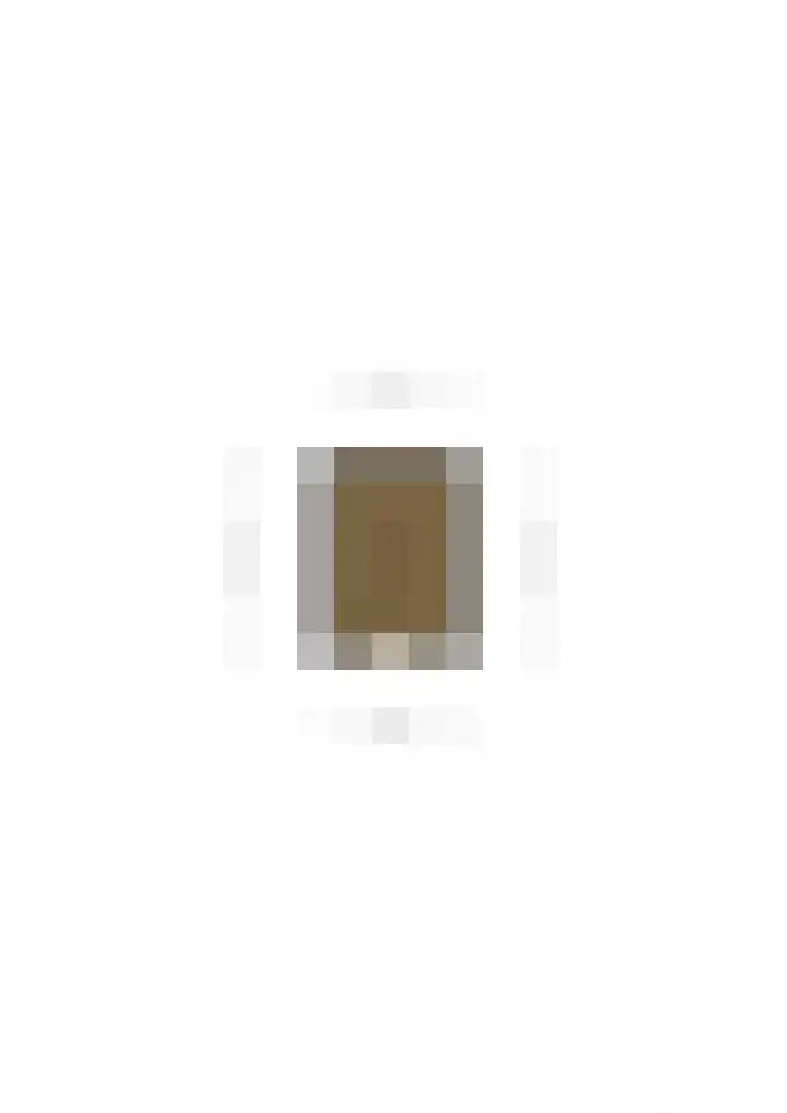 Johan de Meesterstraat 119 Utrecht thumbnail 31